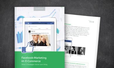 Interface: Facebook-Marketing im E-Commerce