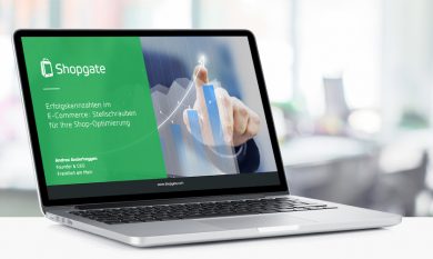 Interface: Erfolgskennzahlen im E-Commerce