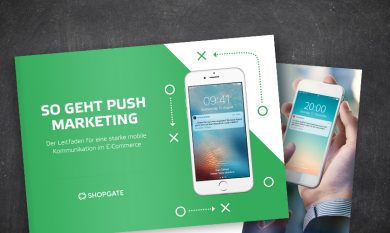 Interface: Leitfaden Push-Marketing